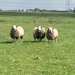 Zunderdorp