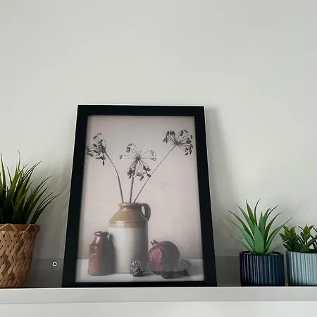 Oda ve Kahvaltı Zunderdorp