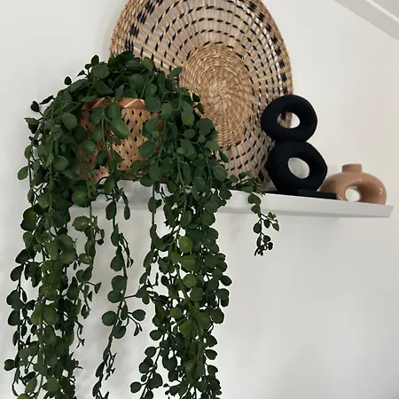 فندق مبيت وإفطار Zunderdorp 3*