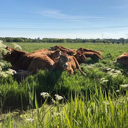 Zunderdorp Amesterdão