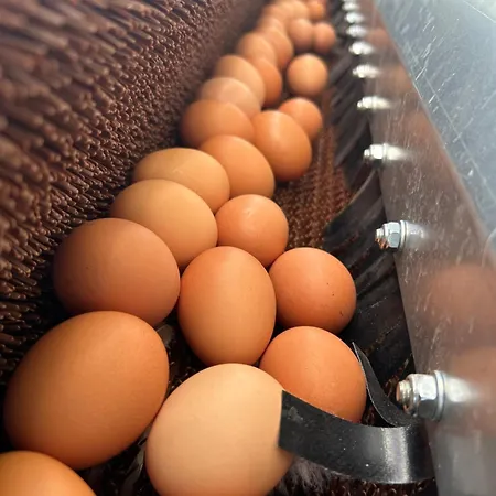 Bed & Breakfast Zunderdorp