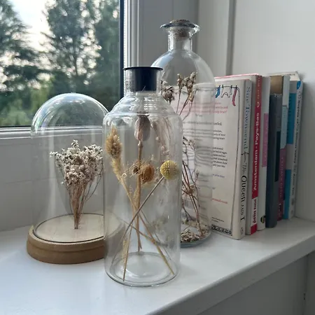 Zunderdorp Bed & Breakfast Amsterdam