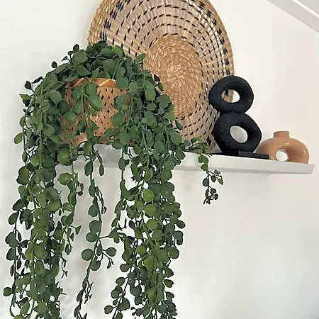 Bed & Breakfast Zunderdorp 4*