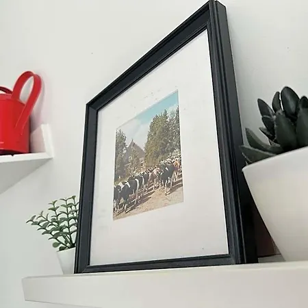 Zunderdorp 4*