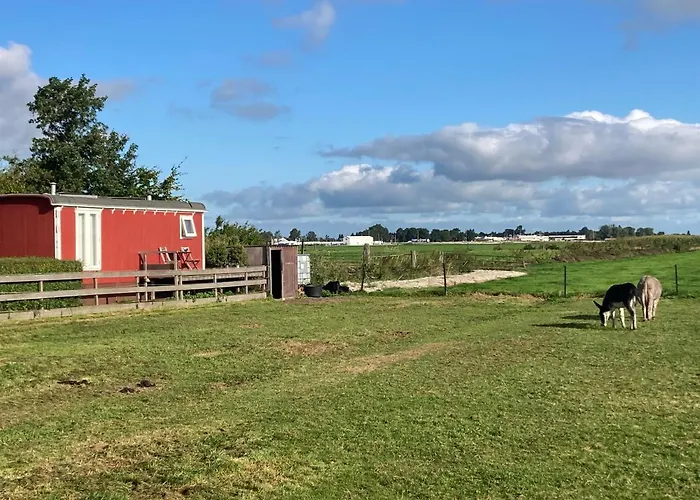 Zunderdorp Bed & Breakfast