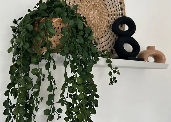 Bed & Breakfast Zunderdorp 3*