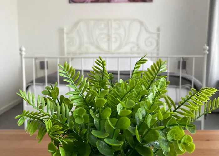 Zunderdorp 3* Amsterdam