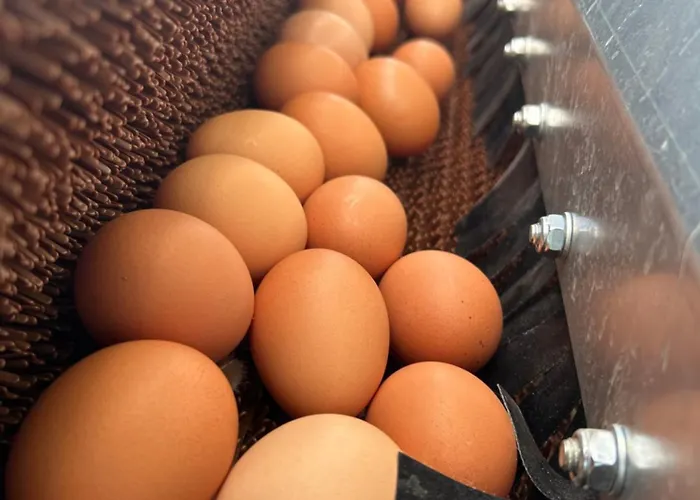 Frühstückspension Zunderdorp