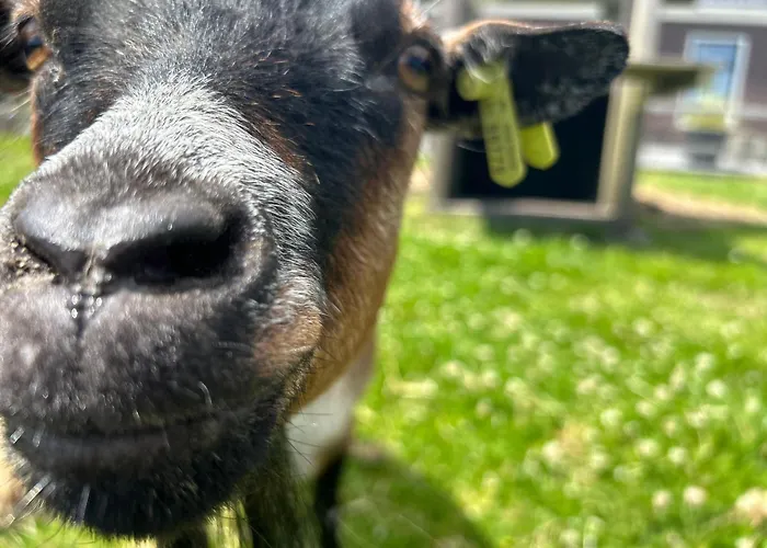 Zunderdorp 3* Amsterdam