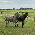 Zunderdorp Амстердам