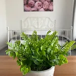 Zunderdorp 4* Амстердам