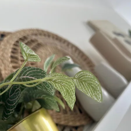 Zunderdorp 암스테르담