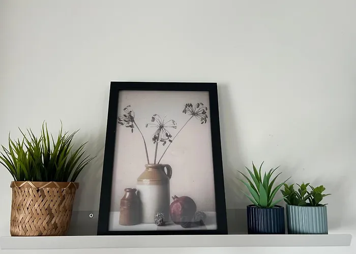 住宿加早餐酒店 Zunderdorp