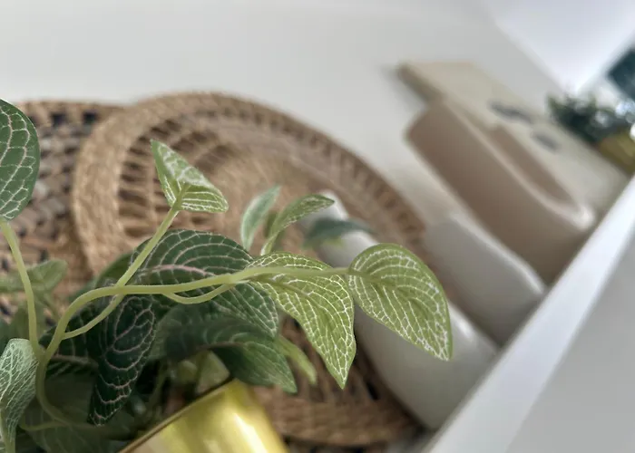 Zunderdorp 阿姆斯特丹