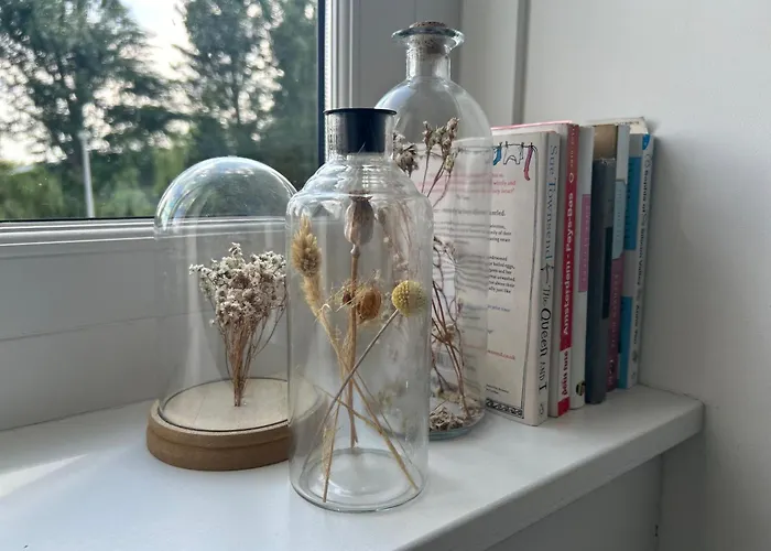 Zunderdorp B&B 암스테르담