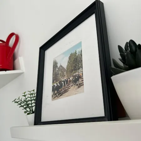 Zunderdorp Bed & Breakfast 3*