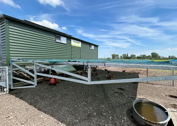 Zunderdorp Bed & Breakfast 3*